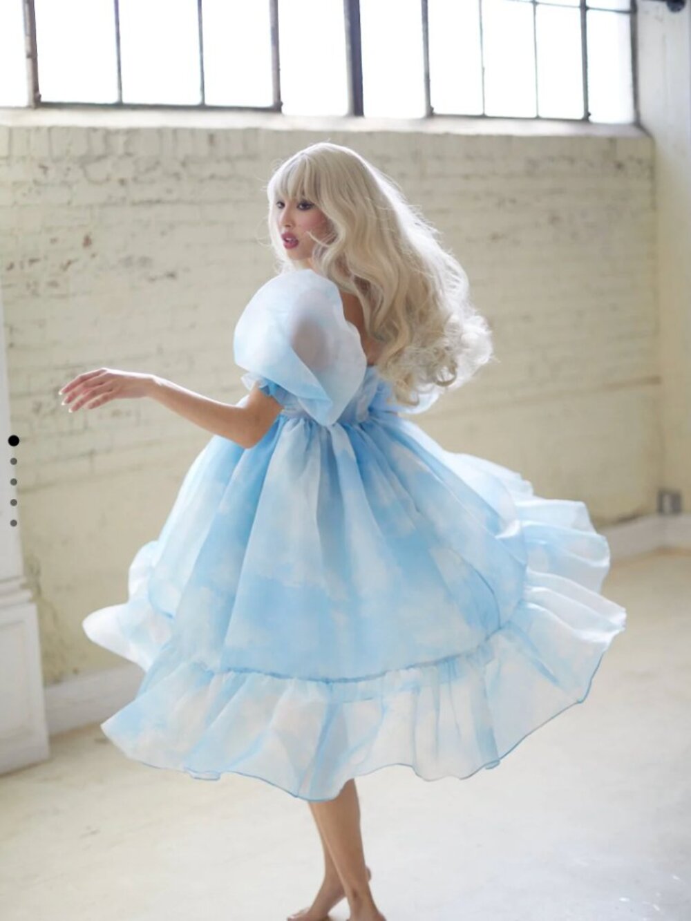 Head in the Clouds French Puff Dress- Worn Once